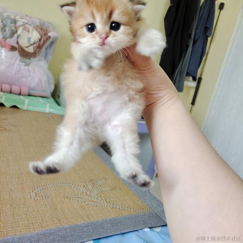 龍佛于2023-06-02 11:23发布的图片