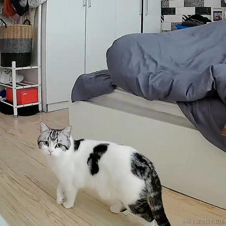 程序猿秃头之路于2022-01-08 10:07发布的图片