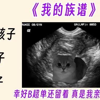 沉默0810于2024-03-19 16:15发布的图片