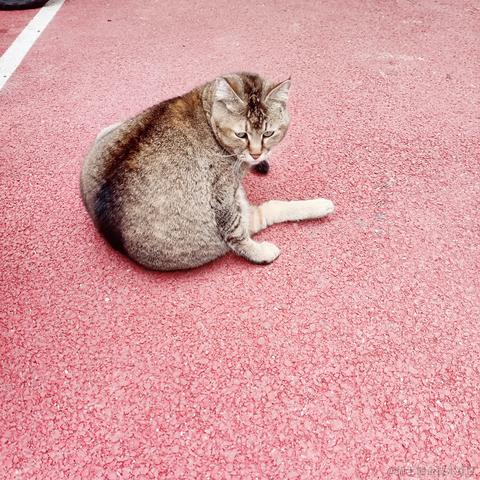 兔叽妹妹于2022-03-03 23:53发布的图片