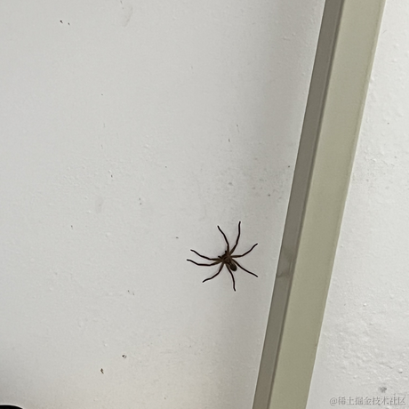 月球背面于2023-05-15 19:10发布的图片