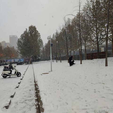 蝎子莱莱爱打怪于2023-12-13 12:32发布的图片