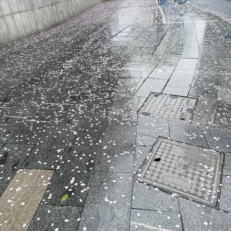 new_s于2024-04-07 12:19发布的图片