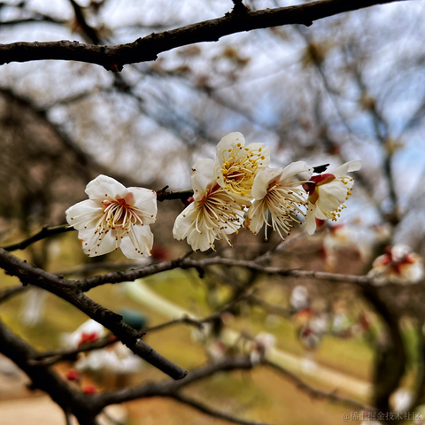 王老狮于2022-02-20 20:17发布的图片