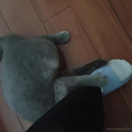 尤依莉于2022-06-20 13:51发布的图片