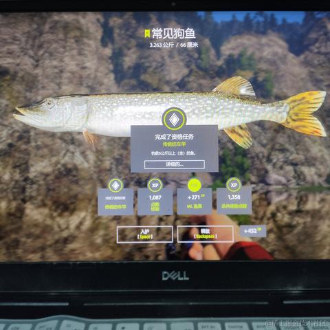 rain2333于2022-11-23 22:14发布的图片