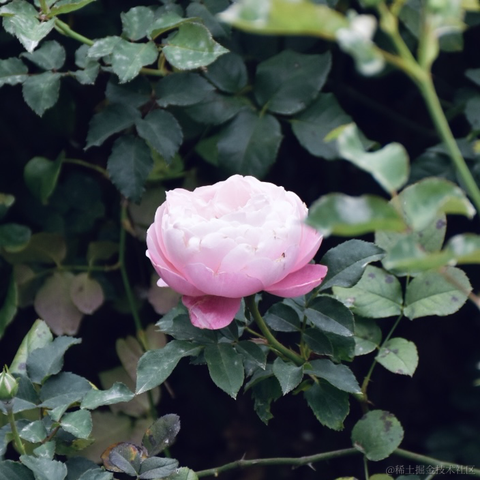 _一杯冰美式_于2023-03-21 10:05发布的图片