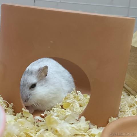 敲敲敲敲暴你脑袋于2023-10-16 07:43发布的图片