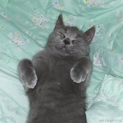 月球背面于2023-05-14 14:45发布的图片