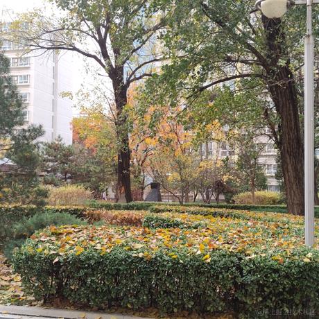 晚晚玩碗碗于2022-11-12 08:15发布的图片