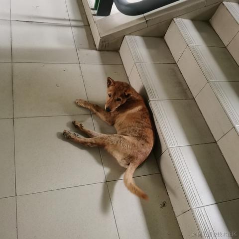 Yj家的孺子牛于2022-11-15 23:43发布的图片