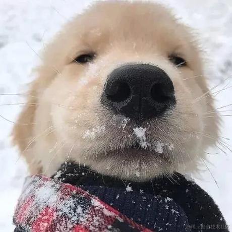 前端寒舒于2021-10-31 19:56发布的图片