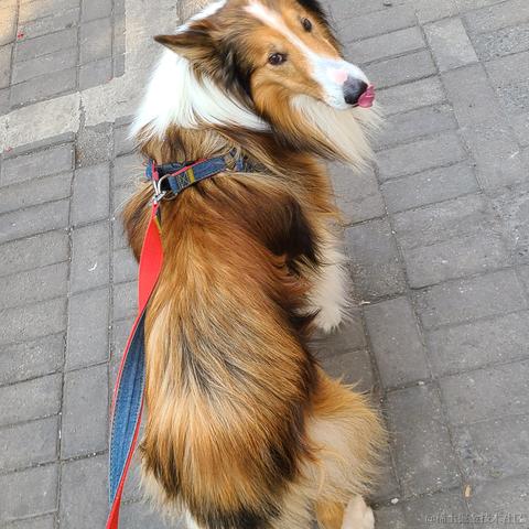 给拿个牛儿于2023-01-22 14:15发布的图片