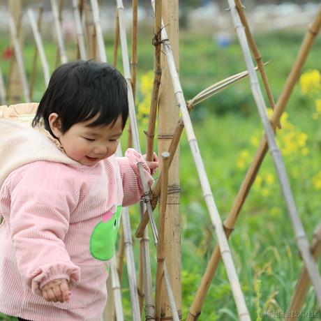 栀子花apple于2023-03-15 20:13发布的图片