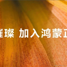 陈_杨于2024-06-25 09:40发布的图片