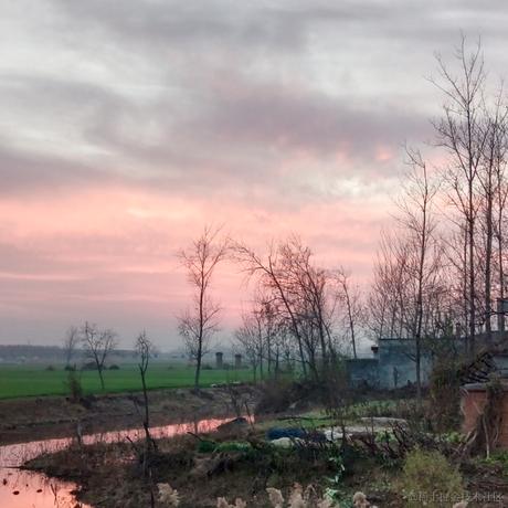 木头水母于2022-12-06 17:25发布的图片