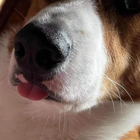 牛肉烧板黎于2022-06-02 09:07发布的图片