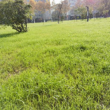 乃王木木睡醒了于2022-12-06 22:03发布的图片