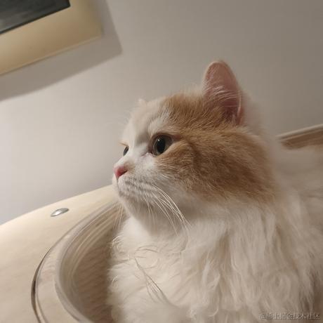 贝拉拉是我的超人于2022-11-24 21:28发布的图片