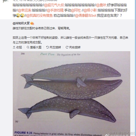 Abner于2021-02-24 17:17发布的图片