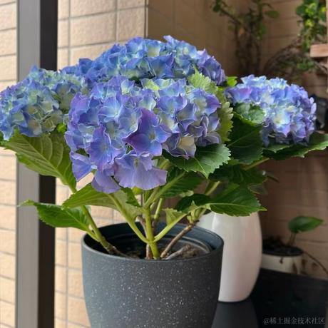 我想中奖于2022-03-05 13:00发布的图片