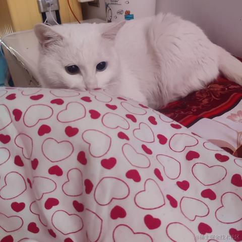 用户7210340961494于2023-01-27 23:21发布的图片