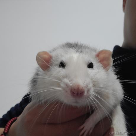 给拿个牛儿于2022-11-27 16:04发布的图片