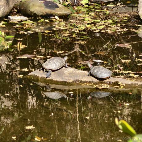 Reloading_转行保险了于2024-03-21 13:49发布的图片