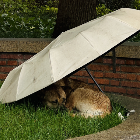 小small于2024-06-25 17:43发布的图片