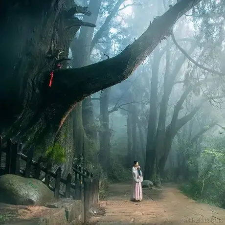 已注销于2023-06-19 13:10发布的图片