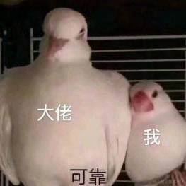 南小府于2021-12-09 15:39发布的图片