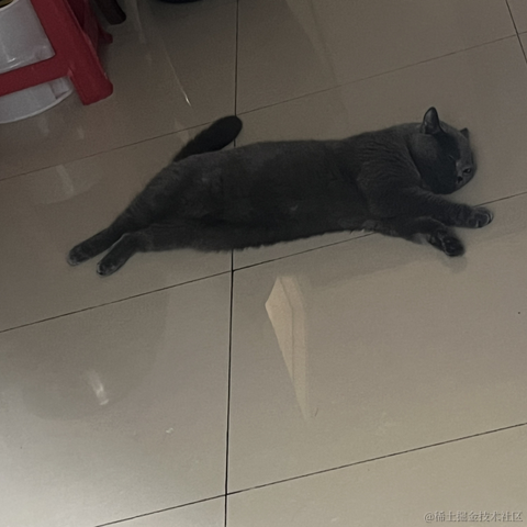 bellaQAQ于2023-06-28 10:24发布的图片