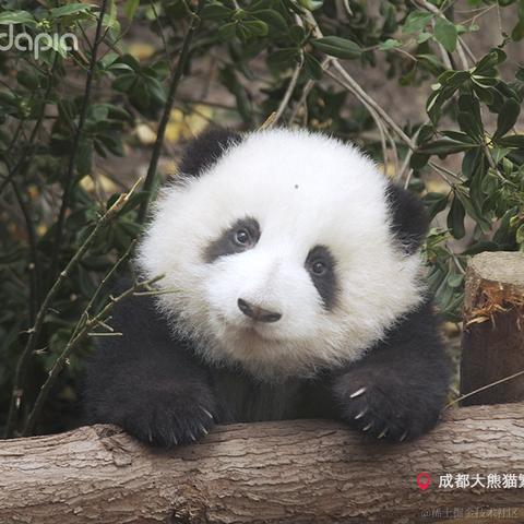 秉烛夜游于2021-09-30 09:06发布的图片