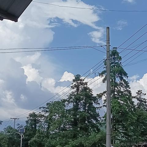 李林森于2023-08-06 22:10发布的图片