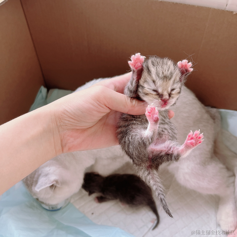 _wow于2023-07-21 10:27发布的图片
