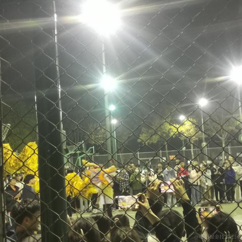 贝拉的牛牛队长于2022-11-25 07:57发布的图片