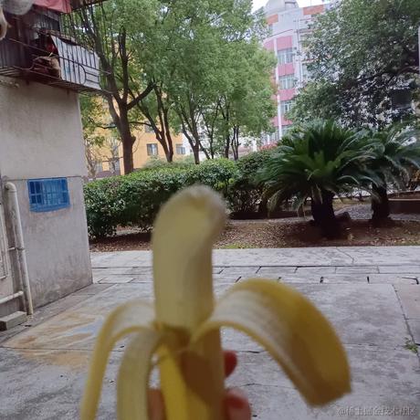 有个城市叫枝江于2022-12-09 17:27发布的图片