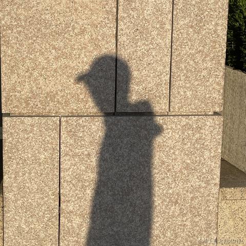 打不完的工于2023-09-12 14:21发布的图片