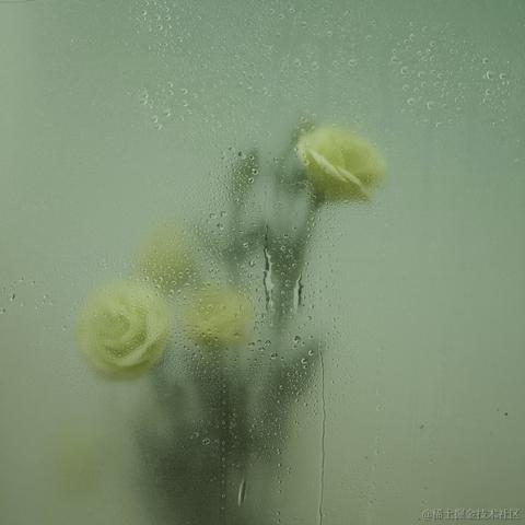 像风一样自由_xjy于2023-04-07 00:34发布的图片