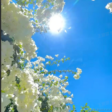 onetwo于2022-11-16 11:31发布的图片