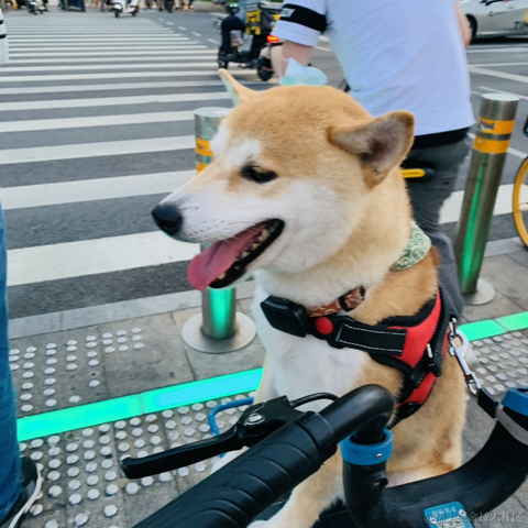 清汤饺子于2021-06-22 08:53发布的图片