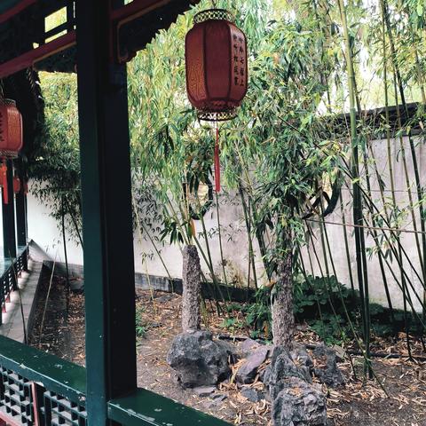 前端阿彬于2023-05-21 18:13发布的图片