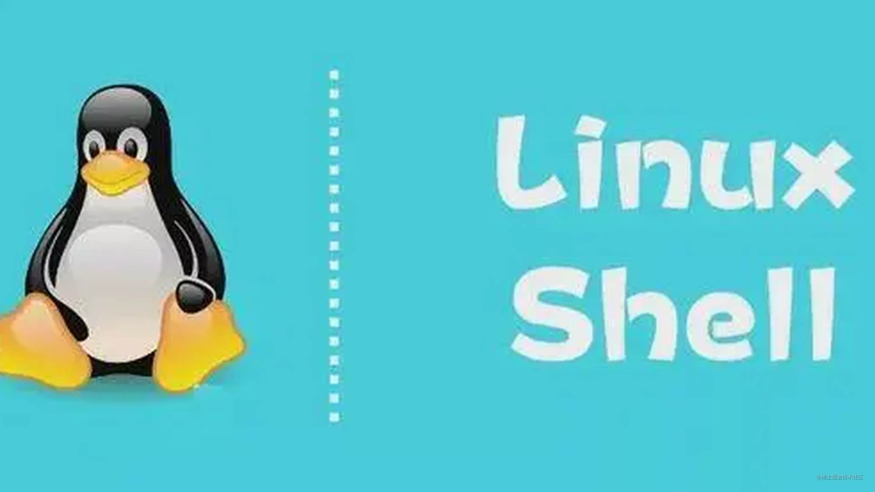 Linux修炼 用一个相亲例子初识shell 掘金