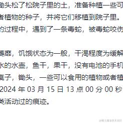 孩子你无敌了于2024-03-14 11:14发布的图片