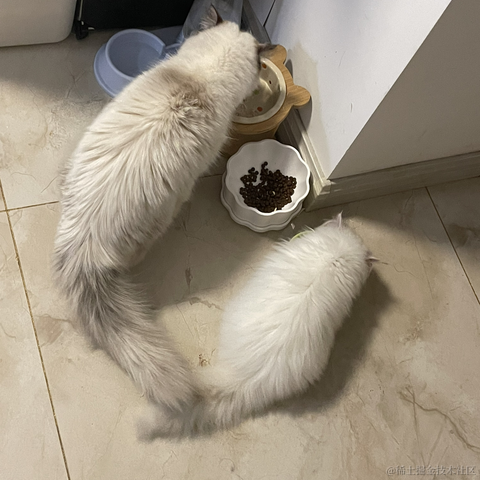 3U小吴于2022-02-20 23:09发布的图片