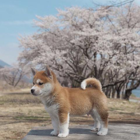 yuxi105768于2023-06-26 10:08发布的图片