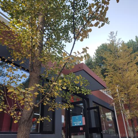 羙橘于2022-10-16 17:25发布的图片