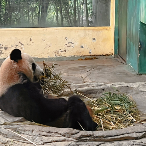 王老狮于2022-11-06 19:32发布的图片