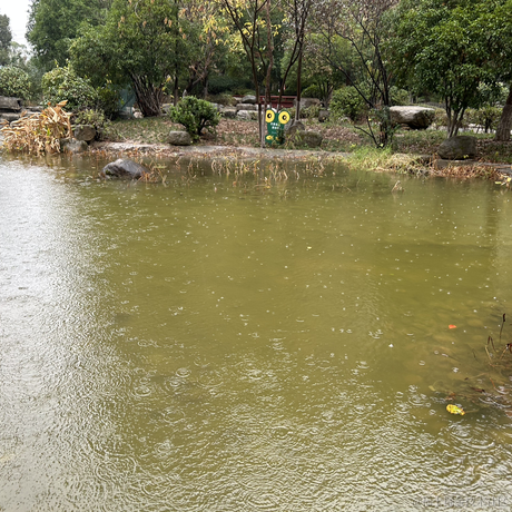 莫仁人于2022-11-29 20:35发布的图片