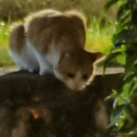 Wei于2022-11-16 23:09发布的图片